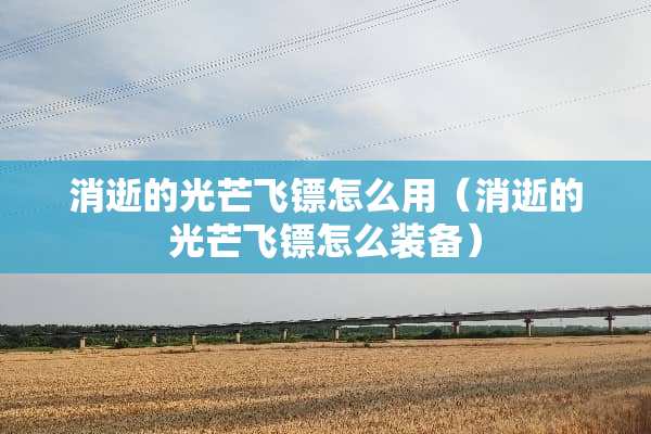消逝的光芒飞镖怎么用（消逝的光芒飞镖怎么装备）