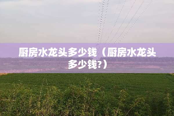 厨房水龙头多少钱（厨房水龙头多少钱?）