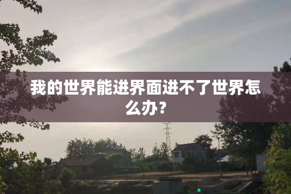 我的世界能进界面进不了世界怎么办？