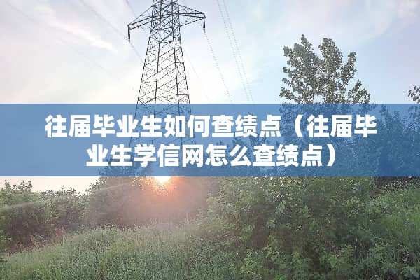 往届毕业生如何查绩点（往届毕业生学信网怎么查绩点）