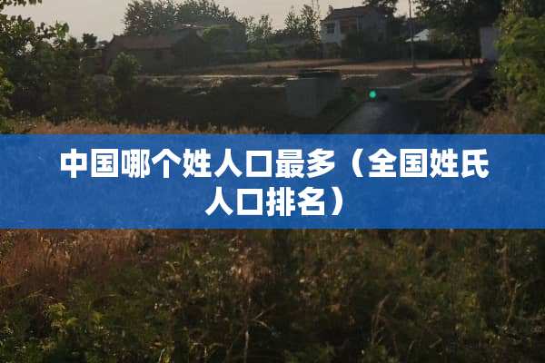 中国哪个姓人口最多（全国姓氏人口排名）