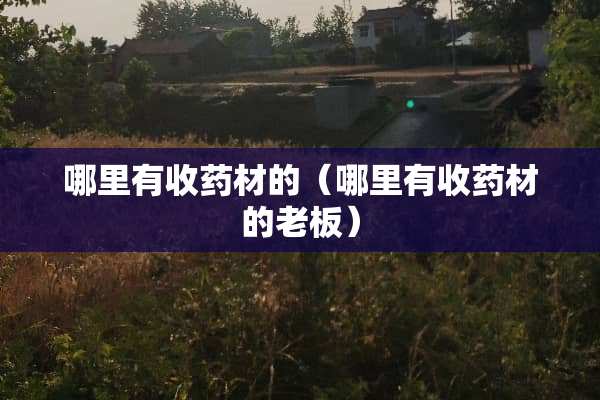 哪里有收药材的（哪里有收药材的老板）