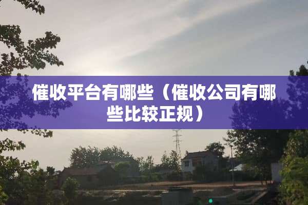 催收平台有哪些（催收公司有哪些比较正规）