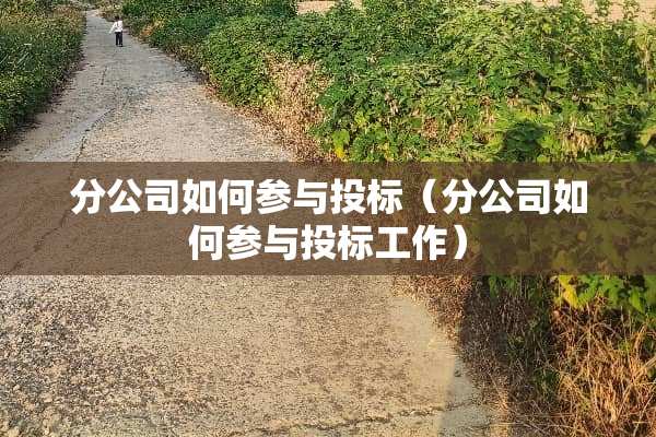 分公司如何参与投标（分公司如何参与投标工作）