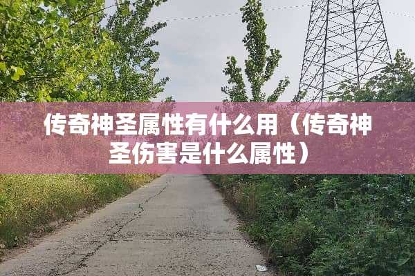 传奇神圣属性有什么用（传奇神圣伤害是什么属性）