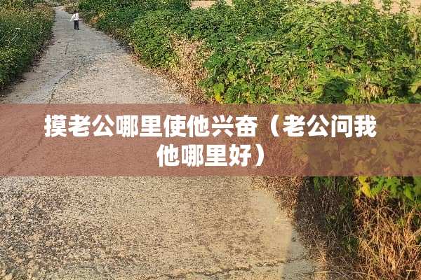 摸老公哪里使他兴奋（老公问我他哪里好）