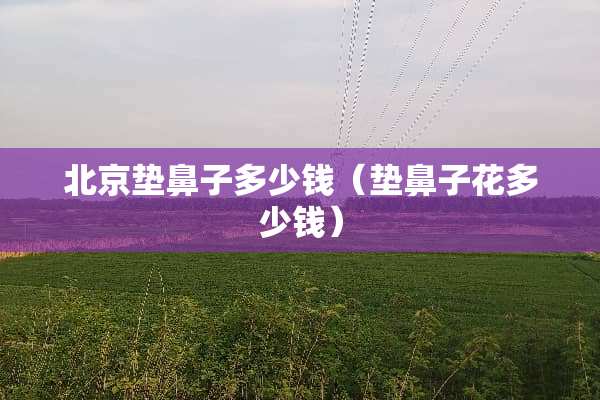 北京垫鼻子多少钱（垫鼻子花多少钱）