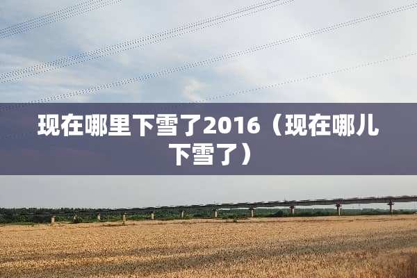 现在哪里下雪了2016（现在哪儿下雪了）