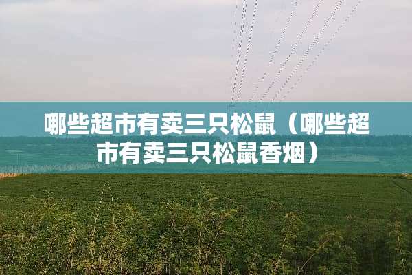 哪些超市有卖三只松鼠（哪些超市有卖三只松鼠香烟）