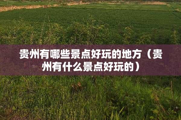 贵州有哪些景点好玩的地方（贵州有什么景点好玩的）