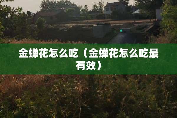 金蝉花怎么吃（金蝉花怎么吃最有效）