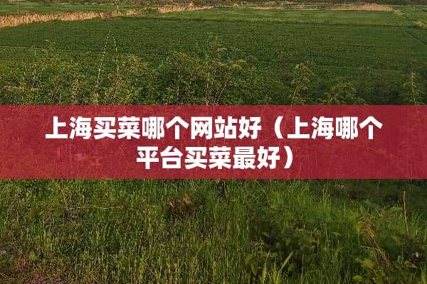 上海买菜哪个网站好（上海哪个平台买菜最好）