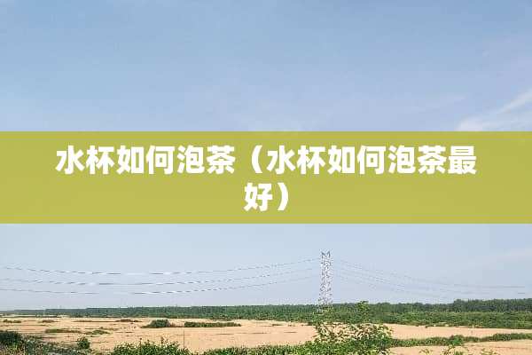 水杯如何泡茶（水杯如何泡茶最好）