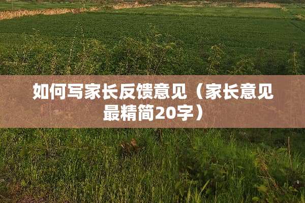 如何写家长反馈意见（家长意见最精简20字）