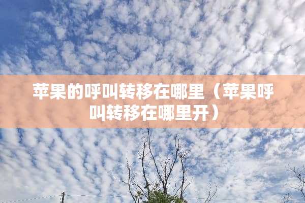 苹果的呼叫转移在哪里（苹果呼叫转移在哪里开）