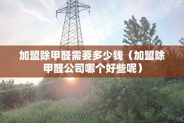 加盟除甲醛需要多少钱（加盟除甲醛公司哪个好些呢）