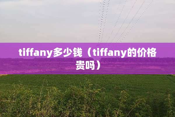 tiffany多少钱（tiffany的价格贵吗）