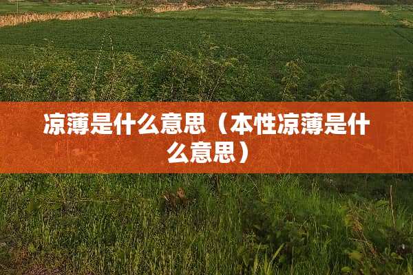 凉薄是什么意思（本性凉薄是什么意思）