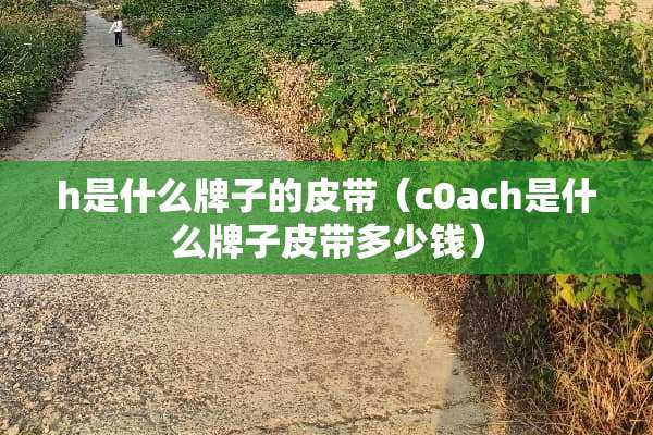 h是什么牌子的皮带（c0ach是什么牌子皮带多少钱）