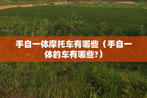 手自一体摩托车有哪些（手自一体的车有哪些?）