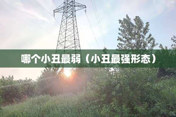 哪个小丑最弱（小丑最强形态）