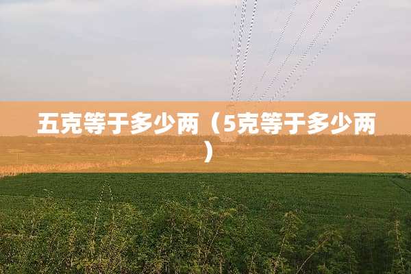 五克等于多少两（5克等于多少两）