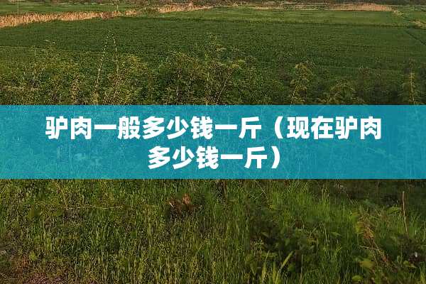 驴肉一般多少钱一斤（现在驴肉多少钱一斤）