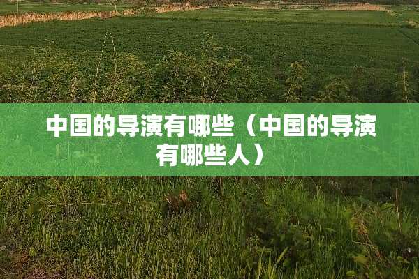 中国的导演有哪些（中国的导演有哪些人）