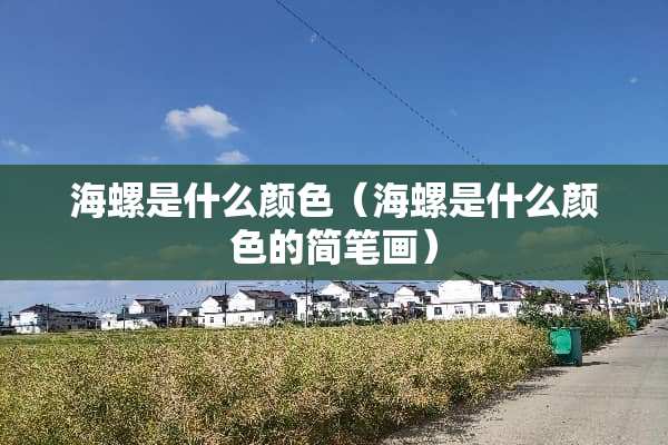 海螺是什么颜色（海螺是什么颜色的简笔画）