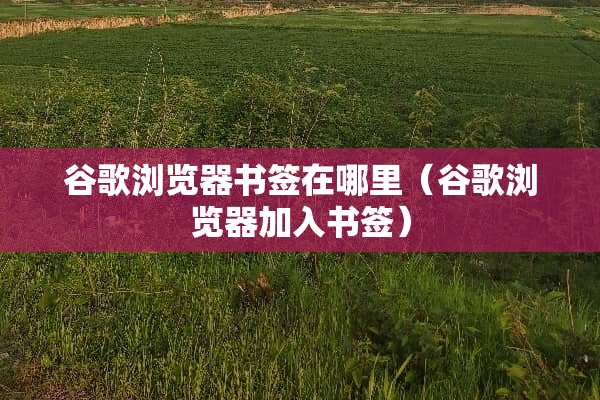 谷歌浏览器书签在哪里（谷歌浏览器加入书签）