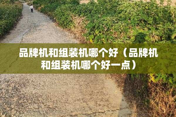 品牌机和组装机哪个好（品牌机和组装机哪个好一点）