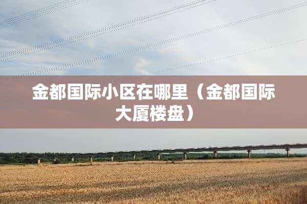 金都国际小区在哪里（金都国际大厦楼盘）