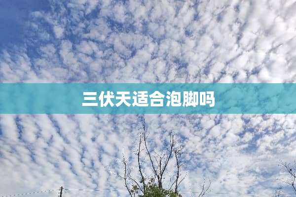 三伏天适合泡脚吗