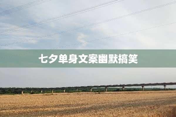 七夕单身文案幽默搞笑