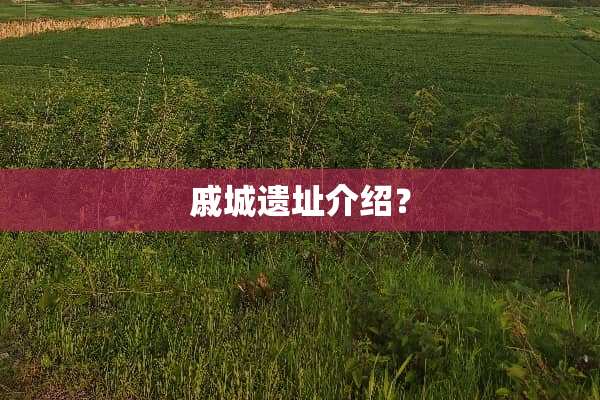 戚城遗址介绍？