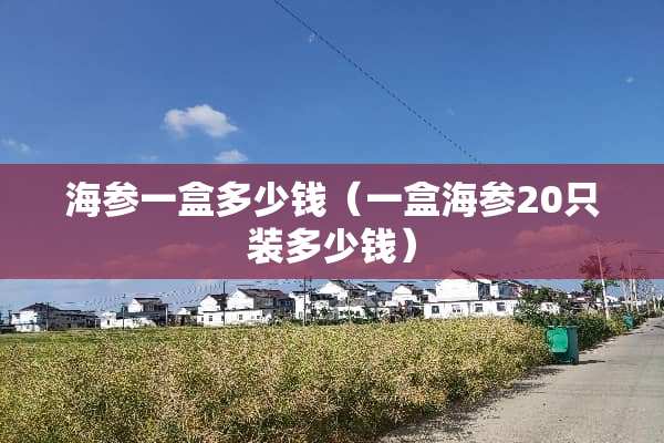 海参一盒多少钱（一盒海参20只装多少钱）