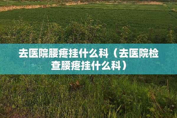 去医院腰疼挂什么科（去医院检查腰疼挂什么科）