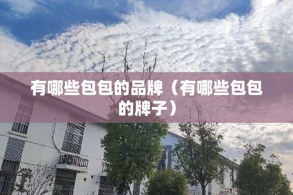有哪些包包的品牌（有哪些包包的牌子）