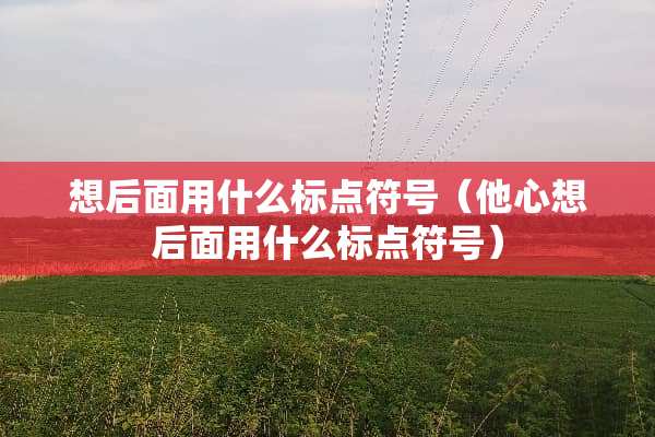 想后面用什么标点符号（他心想后面用什么标点符号）