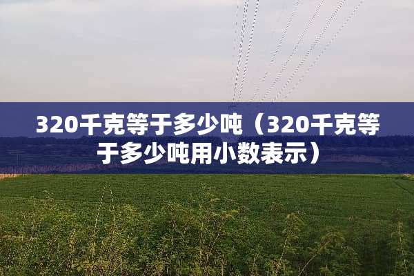 320千克等于多少吨（320千克等于多少吨用小数表示）