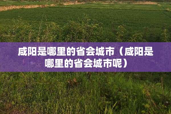 咸阳是哪里的省会城市（咸阳是哪里的省会城市呢）