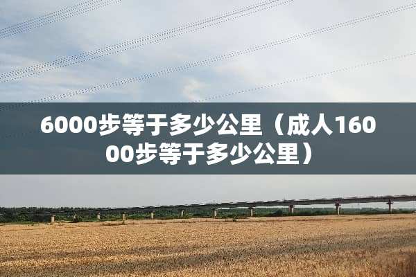 6000步等于多少公里（**16000步等于多少公里）