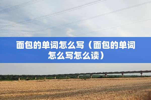 面包的单词怎么写（面包的单词怎么写怎么读）