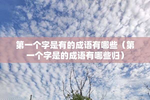 第一个字是有的成语有哪些（第一个字是的成语有哪些归）