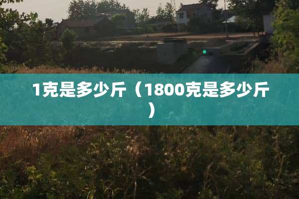 1克是多少斤（1800克是多少斤）