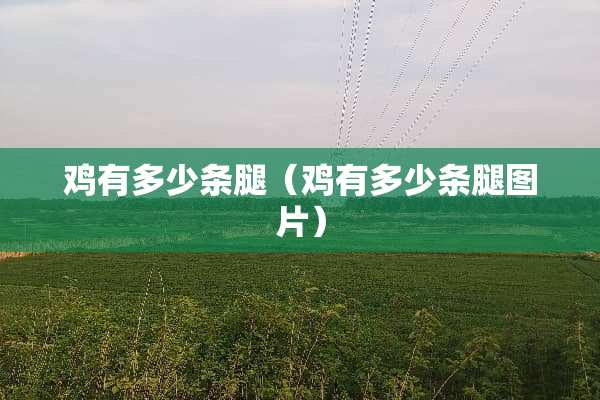 鸡有多少条腿（鸡有多少条腿图片）