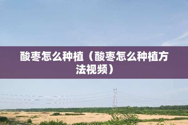 酸枣怎么种植（酸枣怎么种植方法视频）