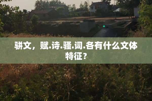 骈文，赋.诗.*.词.各有什么文体特征？