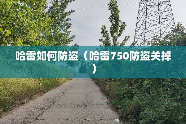 哈雷如何防盗（哈雷750防盗关掉）