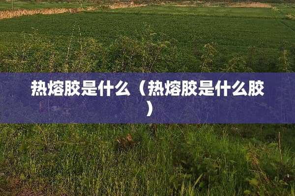 热熔胶是什么（热熔胶是什么胶）